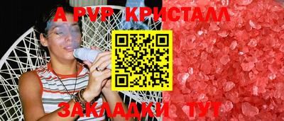 твердый Кингисепп