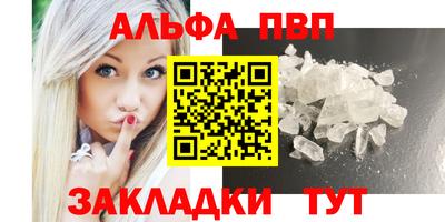 твердый Кингисепп