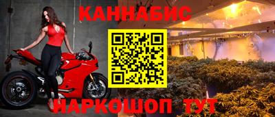 твердый Кингисепп