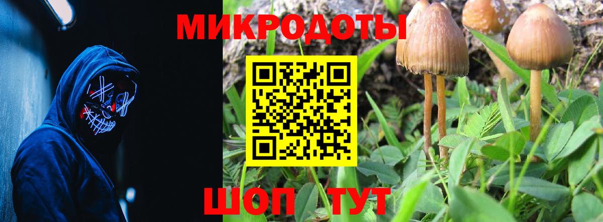 Галлюциногенные грибы GOLDEN TEACHER  Вход с VPN  Комсомольск-на-Амуре 